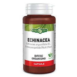 Echinacea 60 capsule